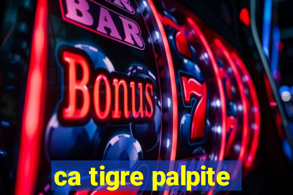 ca tigre palpite