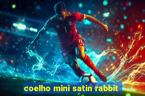 coelho mini satin rabbit