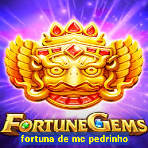 fortuna de mc pedrinho