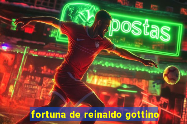 fortuna de reinaldo gottino